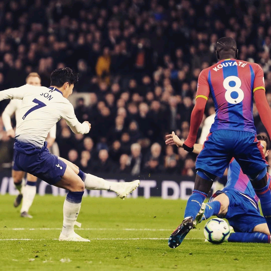 贯的韧性 贯的韧性